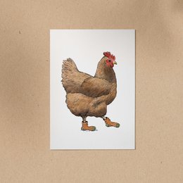 POSTKORT | Kylling Trude