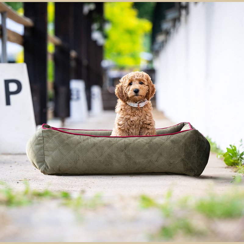 OXFORD I CLASSIC HUNDEBETT