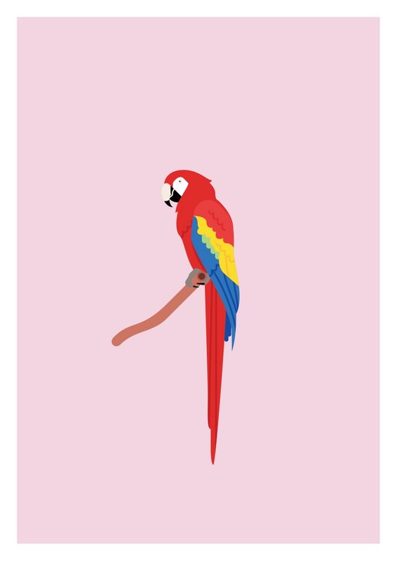 Papagei Poster