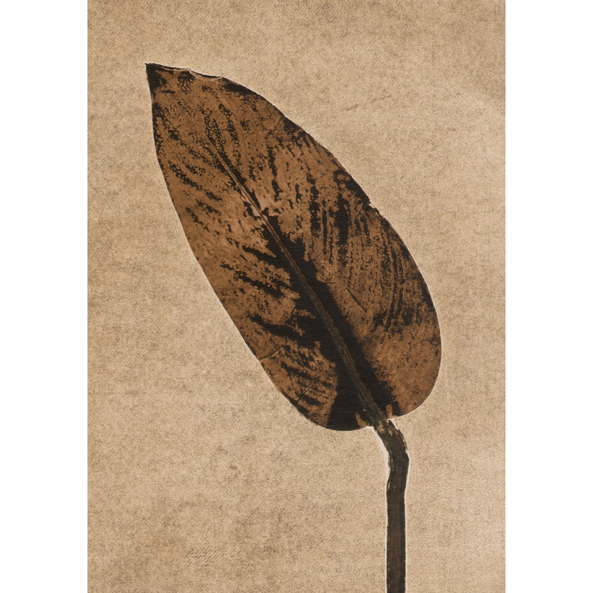 Caramello Calathea A5