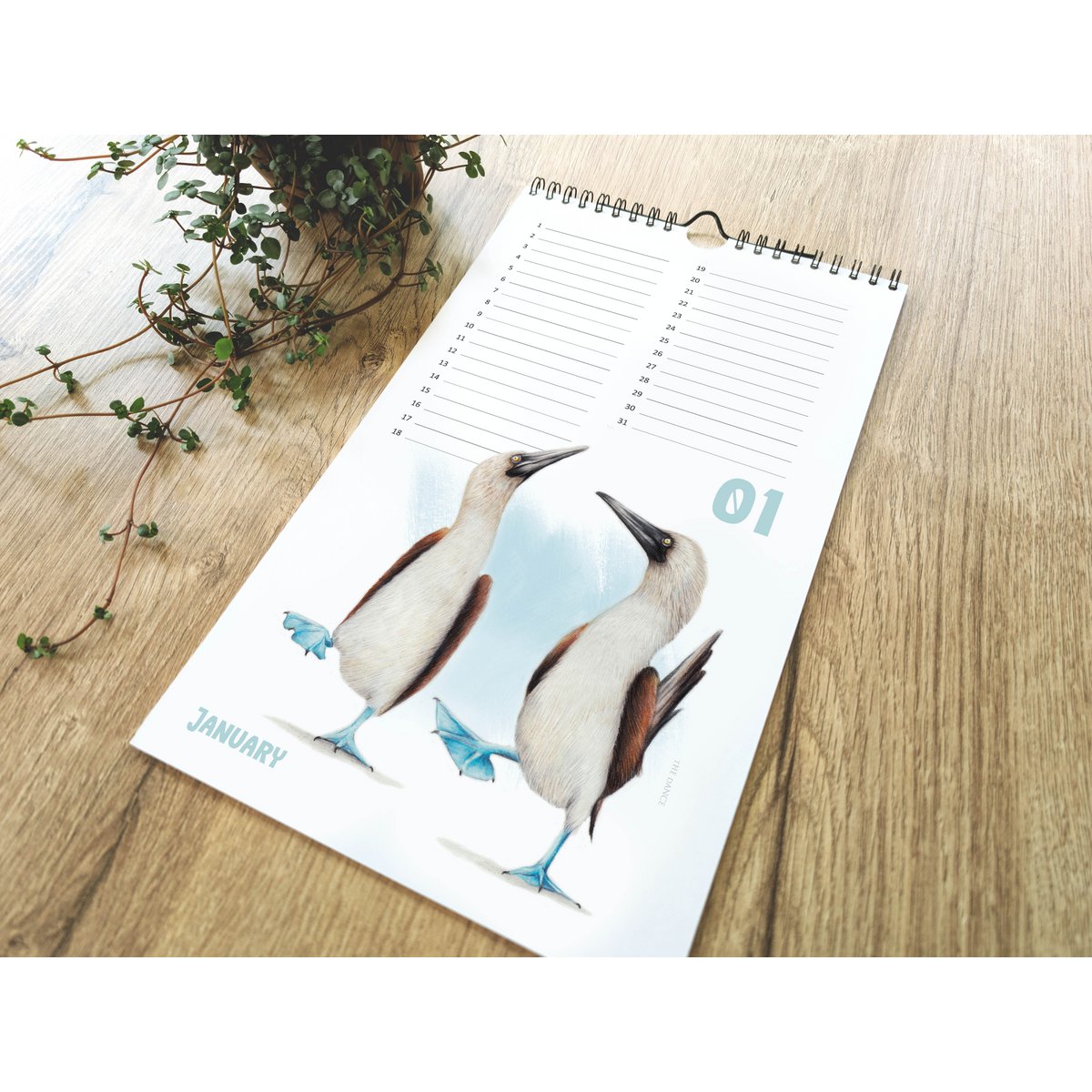Dyrefødselsdagskalender, evighedskalender, miljøvenlig