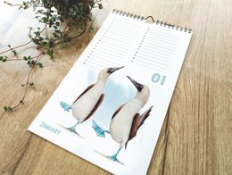 Dyrefødselsdagskalender, evighedskalender, miljøvenlig