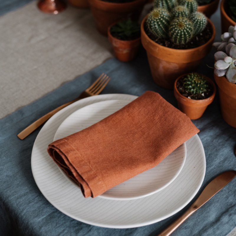 Baked Clay Linen Napkins Set of 2