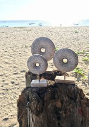 Three round, dark-colored objects on a wooden stump against a beach background with boats in the distance.