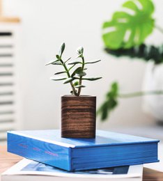 Square Planter