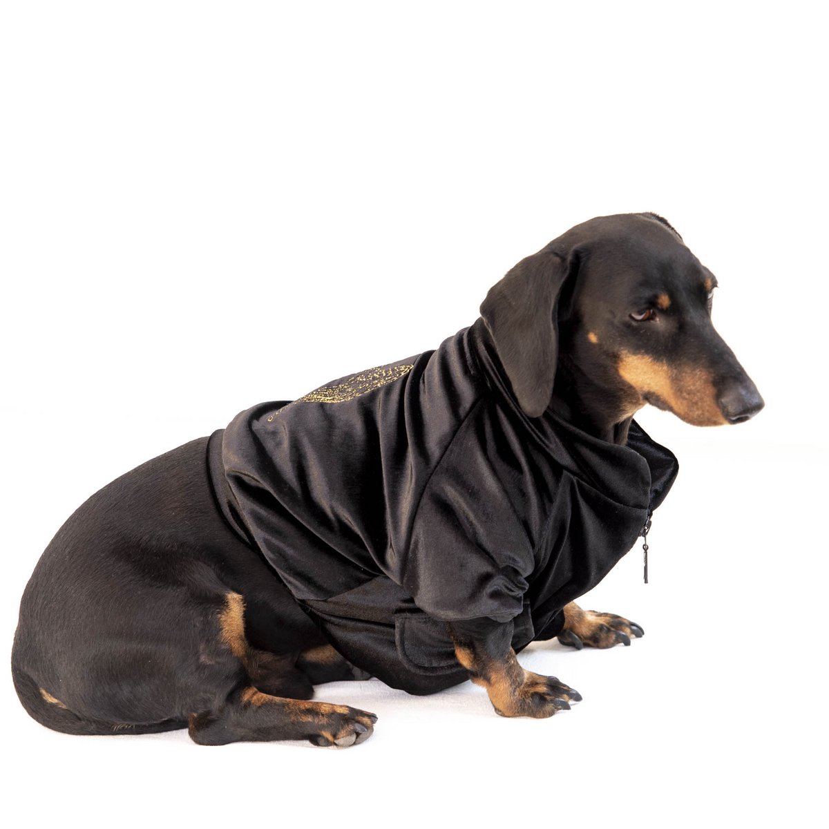 Chaqueta Angelo