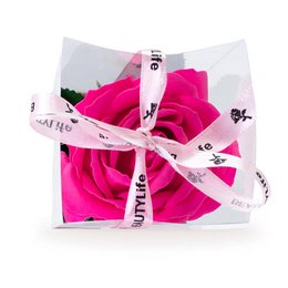 Fuchsia-Seifenrose