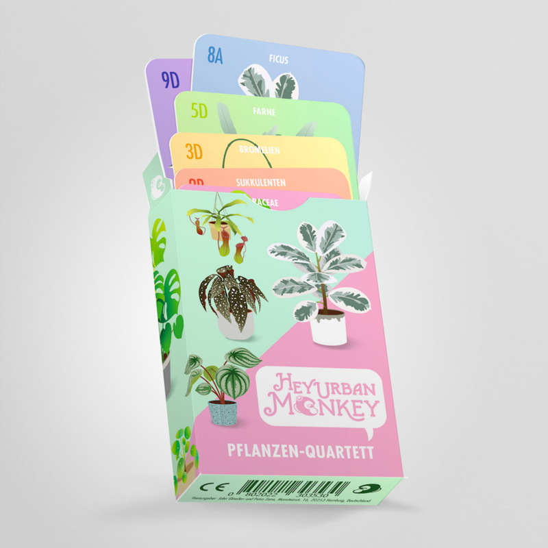 PLANT QUARTET