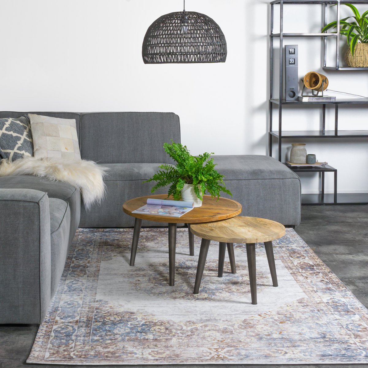 Viola Taupe rug 160 x 230 cm