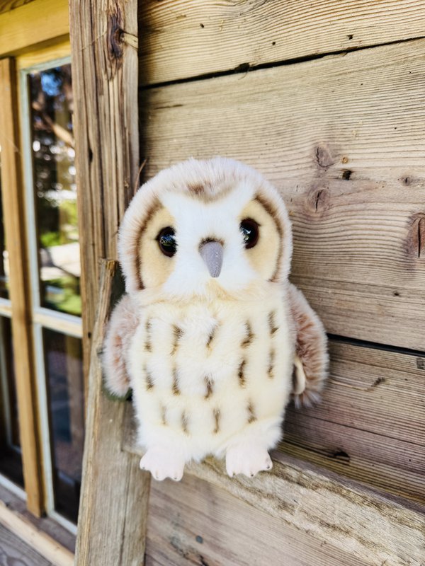 Gufo beige 20 cm - peluche - animale di pezza