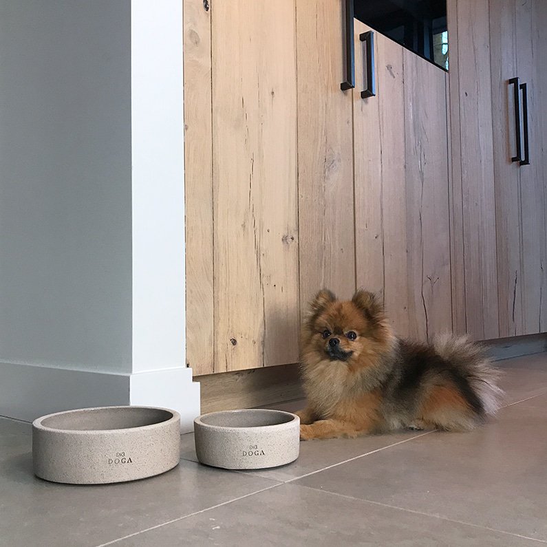 Comedero para perros Hormigón DOGA