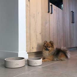 Ciotola per cibo per cani DOGA in cemento
