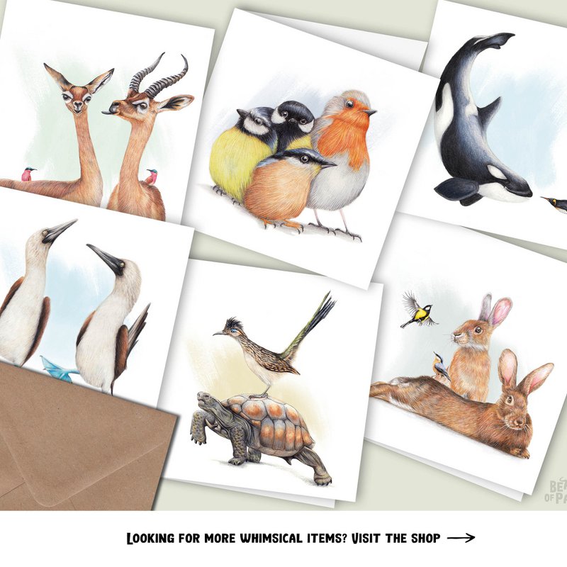 Tortoise & Roadrunner - Greeting Card, 13 x 13 cm, Birds