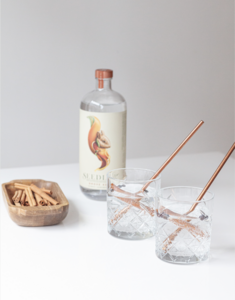 Virgin Gin Tonic
