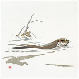 Card folder - Erik van Ommen, Hidden Nature