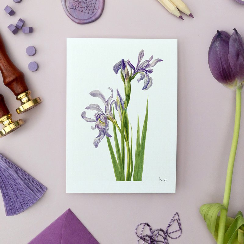 Lilac Pack - Handmade Postcards A6 with Envelope - Botanical Vintage