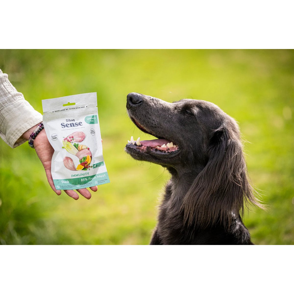 DIBAQ SENSE Immunité Canard 100g