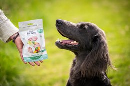 DIBAQ SENSE Immunity Duck 100g