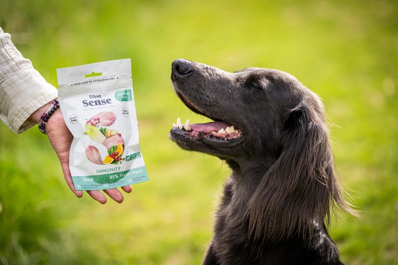 DIBAQ SENSE Immunity Duck 100g