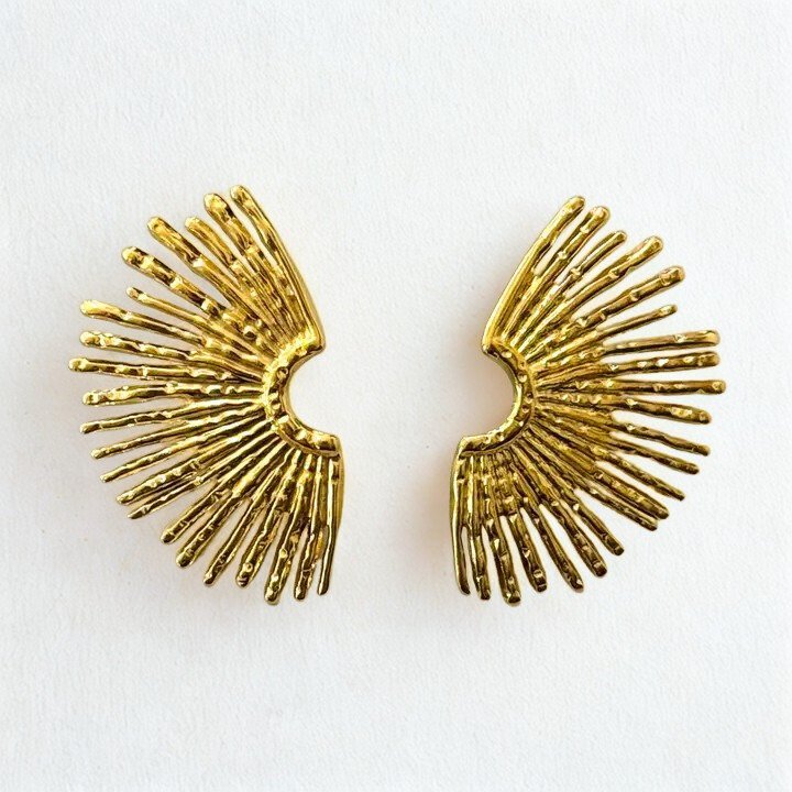 Laudi Stainless Steel Earrings