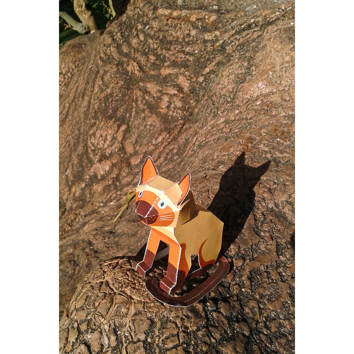 Seated Cat Postcard