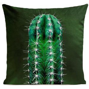 Tropisch Kussen, Cactus