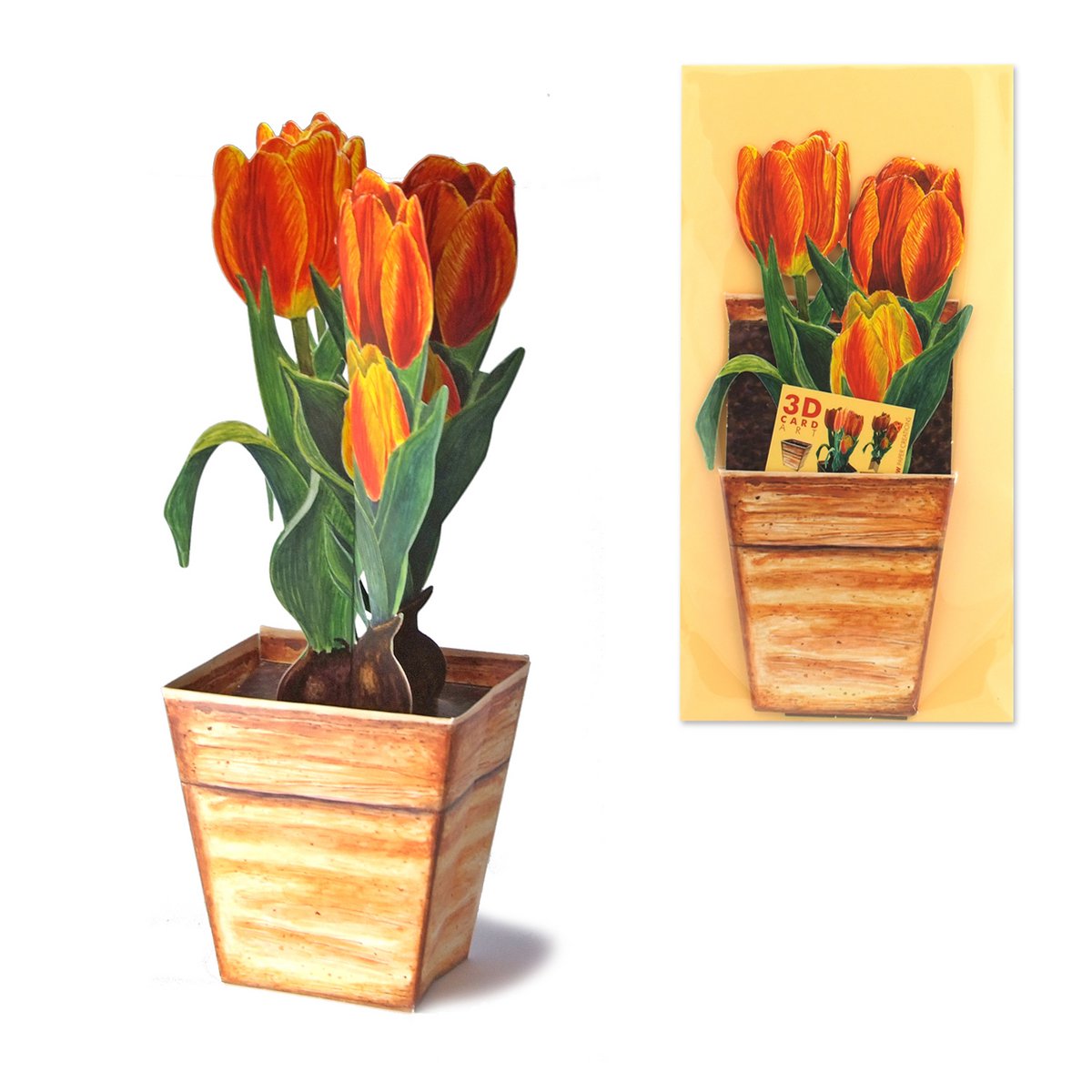 3D-Blumenkarte Tulpe