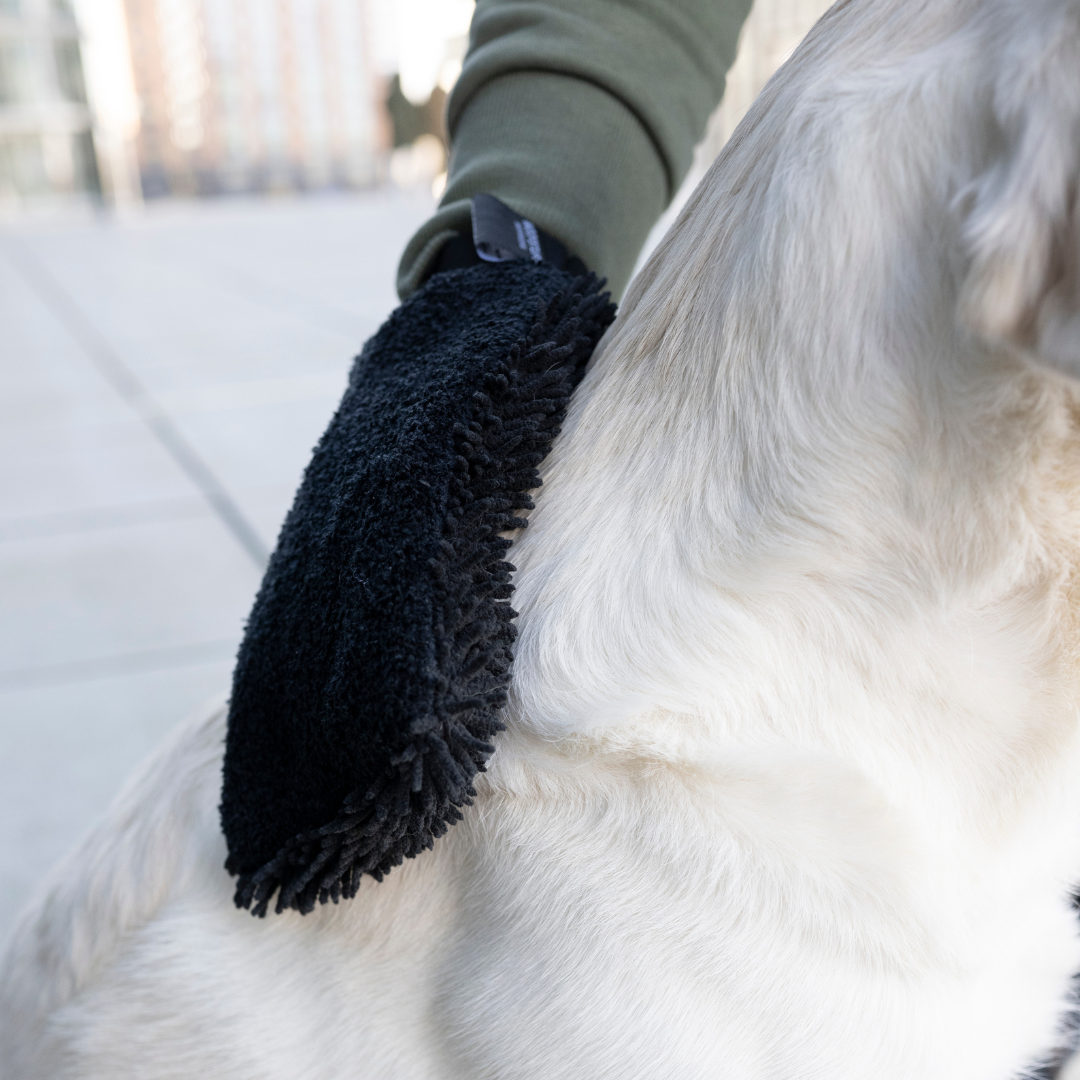 Guanti asciutti di cane antracite a secco rapido