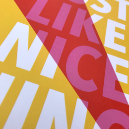 "I Just Like Nice Things" Print A4