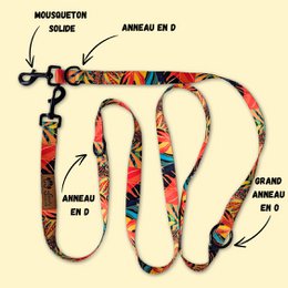 Tropical multi-position leash
