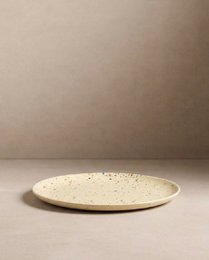 New Party Dinner Plate 27cm - Mix 6 Pieces