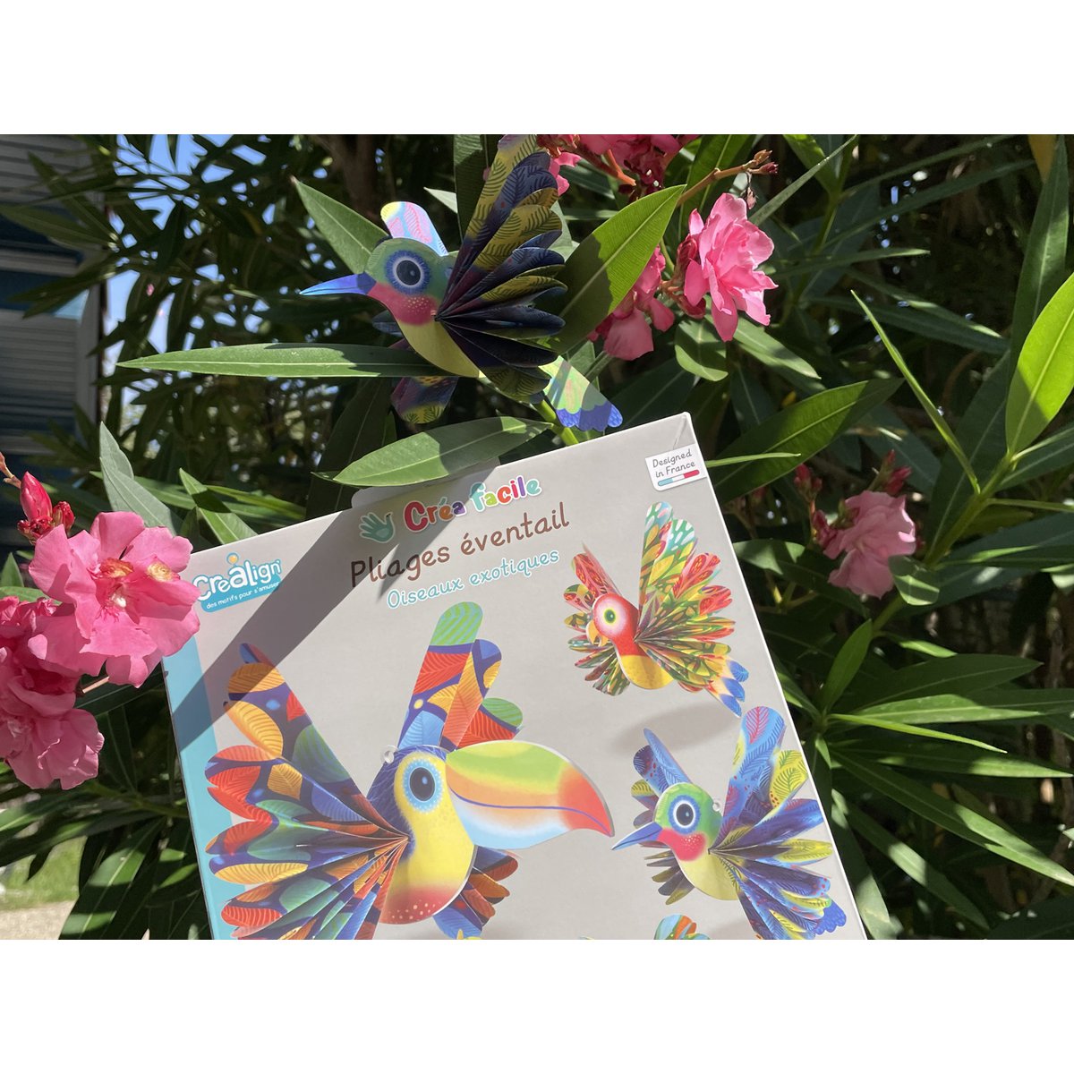 Easy creation, Folding fans "Exotic birds"