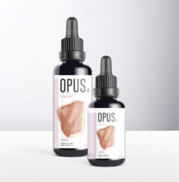 CHAGA- Opus Paddestoelen