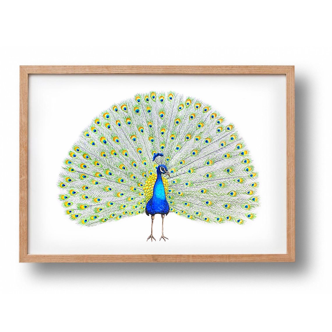 Animal poster peacock - A4 - nursery nursery - maternity gift - wall decoration - hand painted by Mies with watercolor