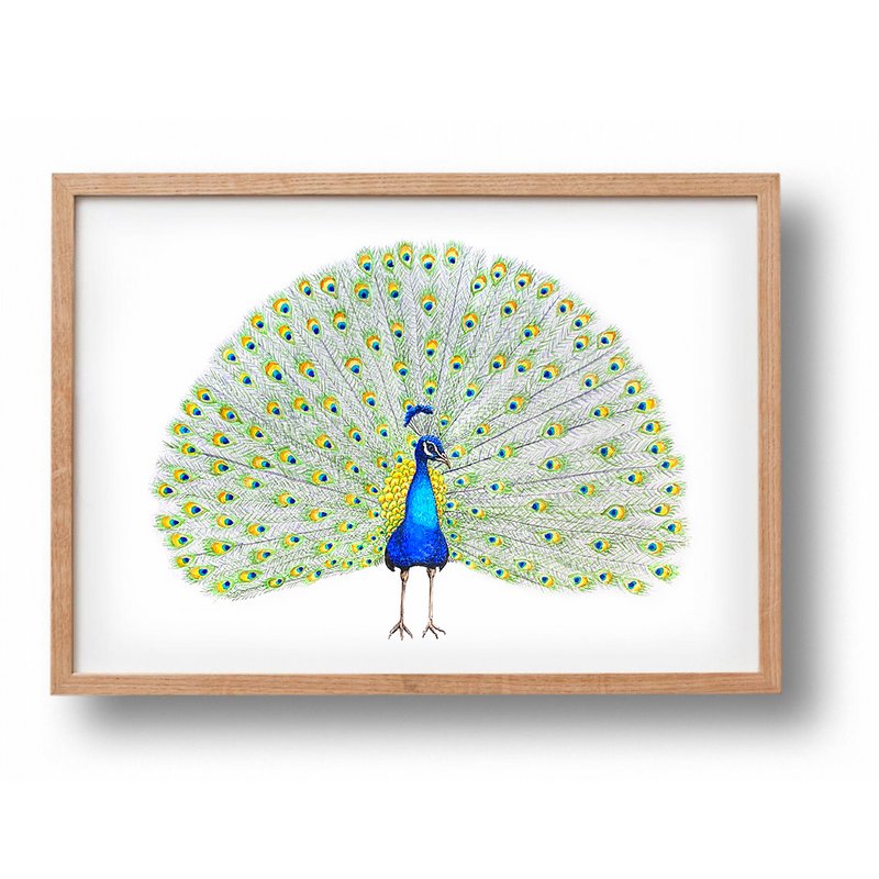 Animal poster peacock - A4 - nursery nursery - maternity gift - wall decoration - hand painted by Mies with watercolor
