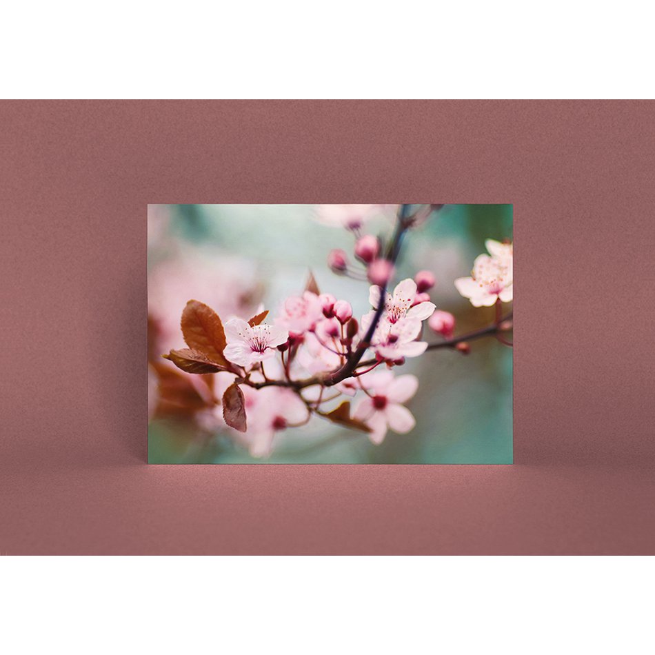 Postkarte Grußkarte Pflaumenblüte (PK_055)