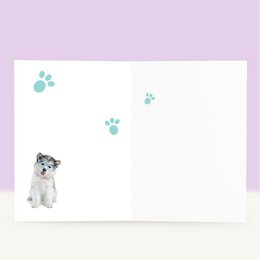 Studio Pets Birthday card Wolfie Husky