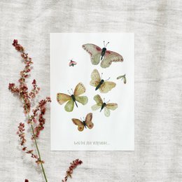 Postkort · sommerfugle