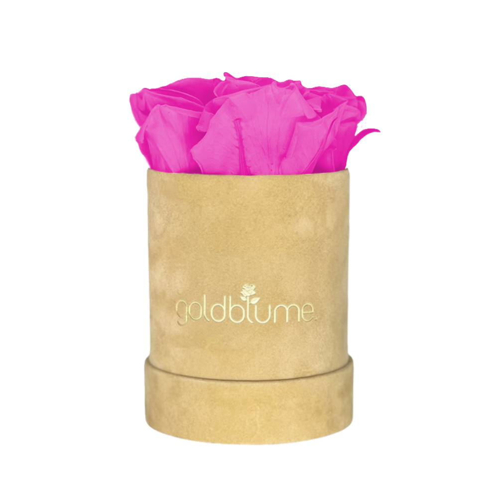 Bridal Pink S