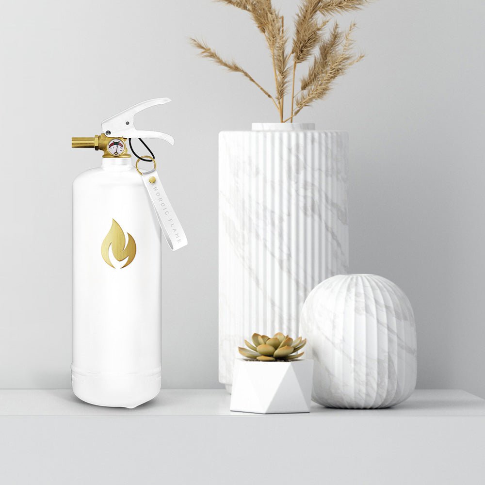 Fire Extinguishers 2 kg - White Gold