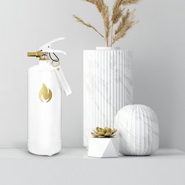 Extintores 2 kg - Oro Blanco