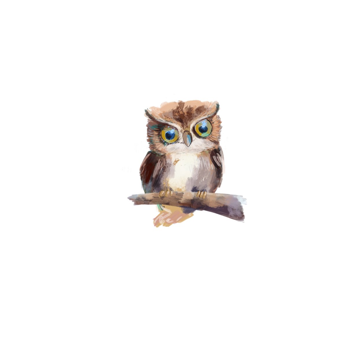 Sioou temporary tattoo - The Owl x5