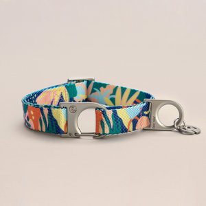 Frans Hondenhalsband
