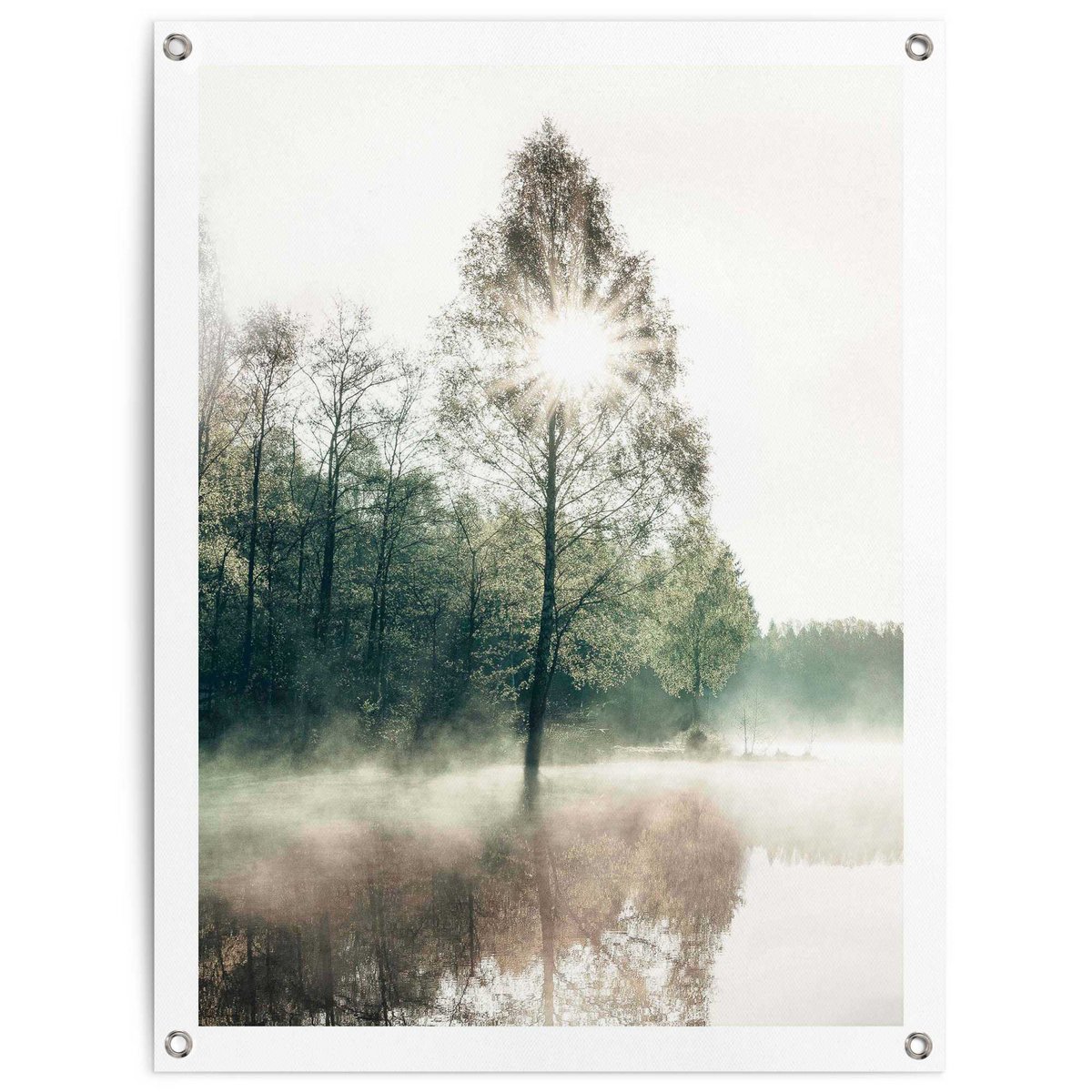 Gartendeko Gartenposter Sonne durch die Bäume 80x60