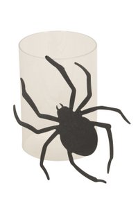 Pot hanger spider