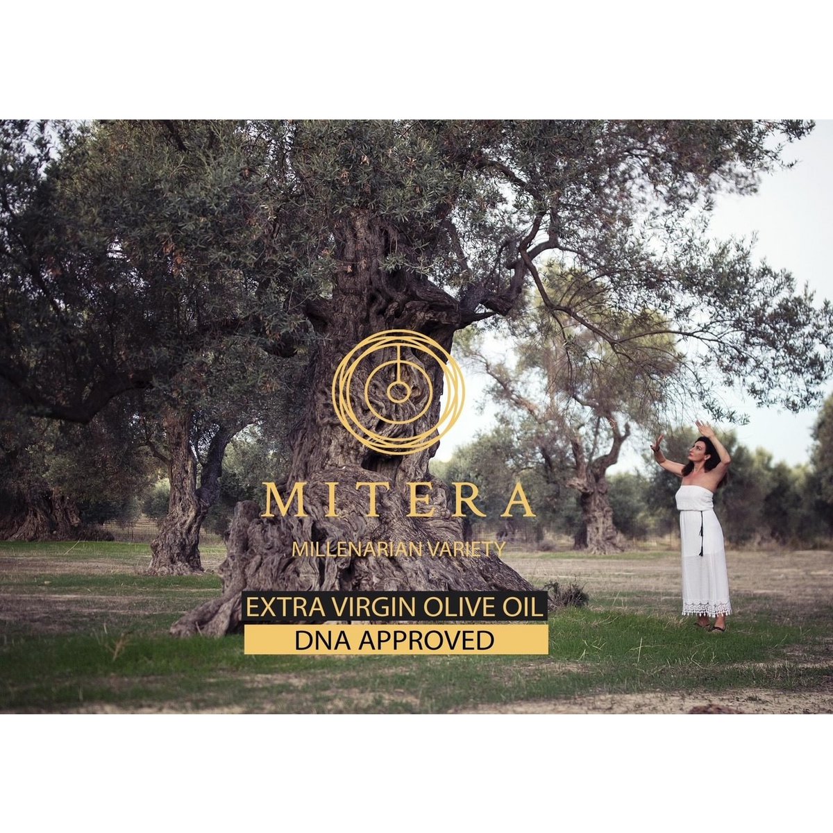 MITERA EVOO MASTOIDIS 500 ml