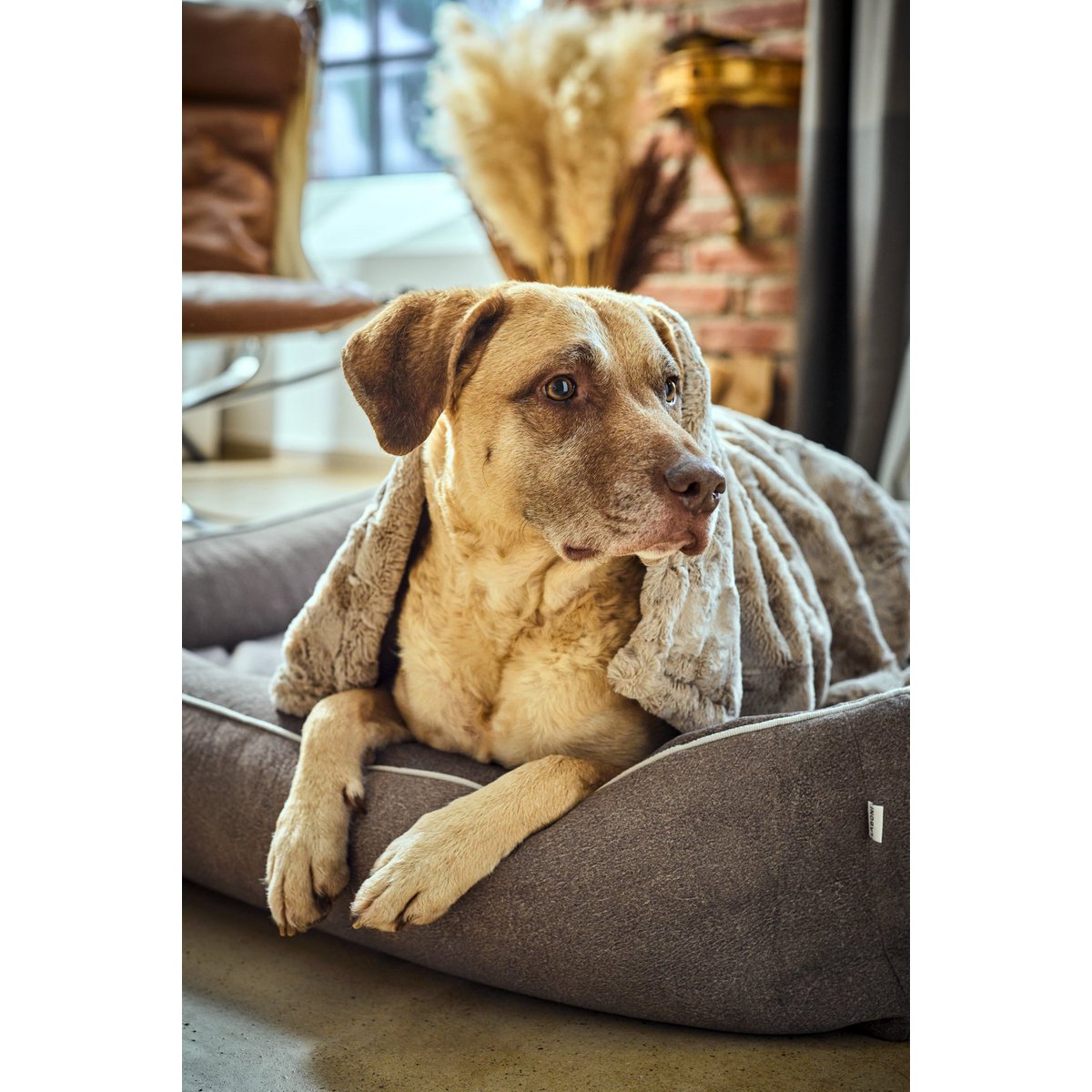 COZY Kuscheldecke für Hunde