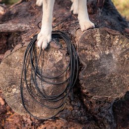 Black leather dog leash with multiple loops and rings for adjustability. Suitable for medium to large dogs.