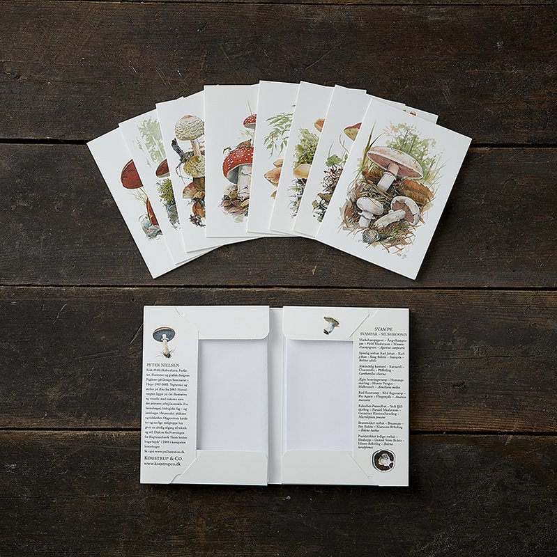 Cardfolder Mushrooms 8. cards w/envelopes