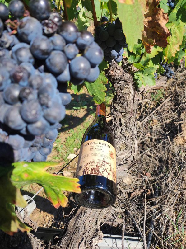 Vin rouge Crianza D.O.Ca. Rioja Altos du Rubio